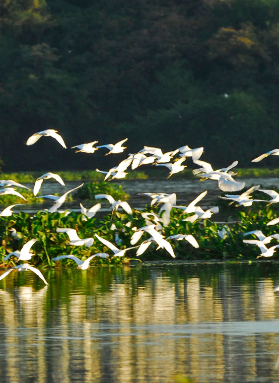 Laguna-de-Suchitlan,-Suchitoto-1